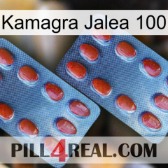 Kamagra Jelly 100 05